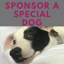 Load image into Gallery viewer, *Christmas Sponsorship pack
